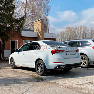 SILVER. Имитация насадок глушителя RS Style крашенные для Skoda Rapid II Gen (2020 - н.в.)